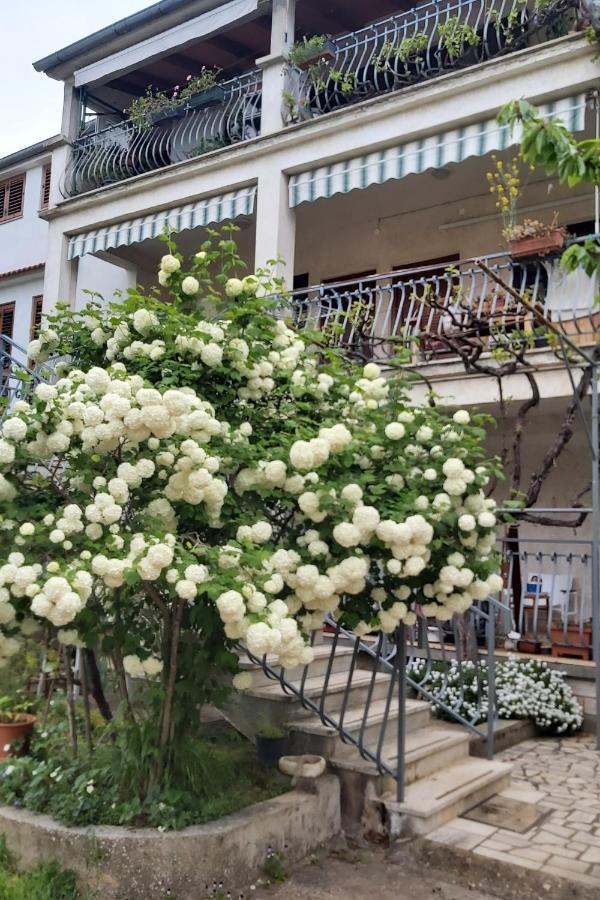 Apartments And Rooms By The Sea Rovinj - 19183 Εξωτερικό φωτογραφία